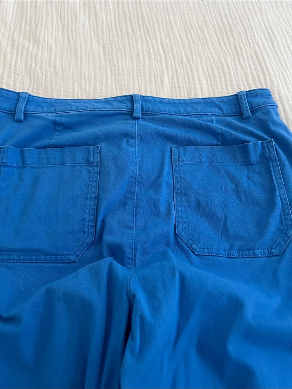 J. Crew Bright Blue Chino Pants